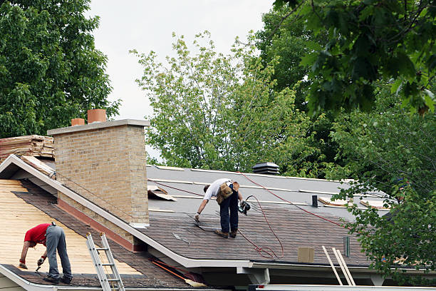 Quick and Trustworthy Emergency Roof Repair Services in Gibsonton, FL
